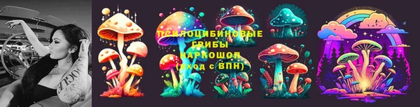 PSILOCYBIN Армянск
