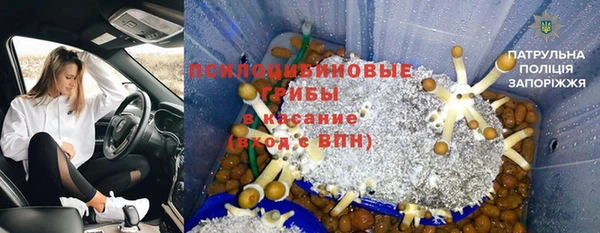 a pvp Аркадак
