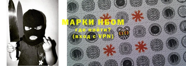 PSILOCYBIN Армянск
