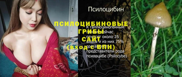 PSILOCYBIN Армянск