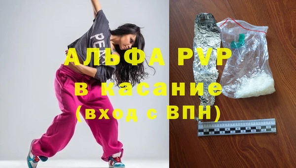 стаф Арсеньев