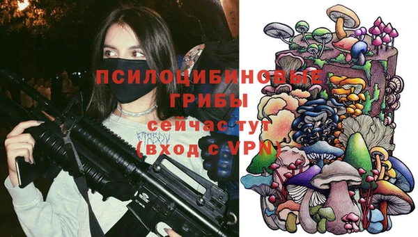 a pvp Аркадак