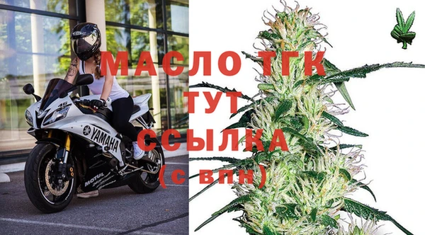 мдпв Осташков