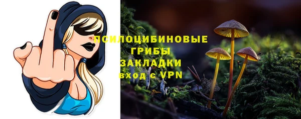 a pvp Аркадак