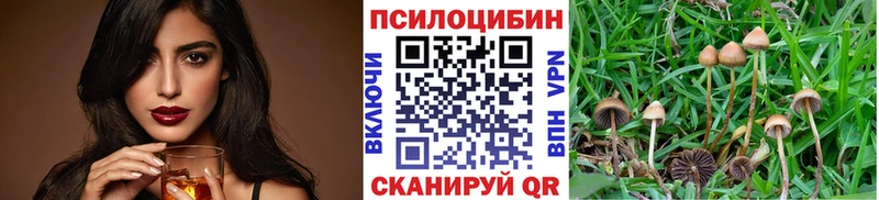 ОМГ ОМГ ссылка  Мурино  Псилоцибиновые грибы ЛСД 